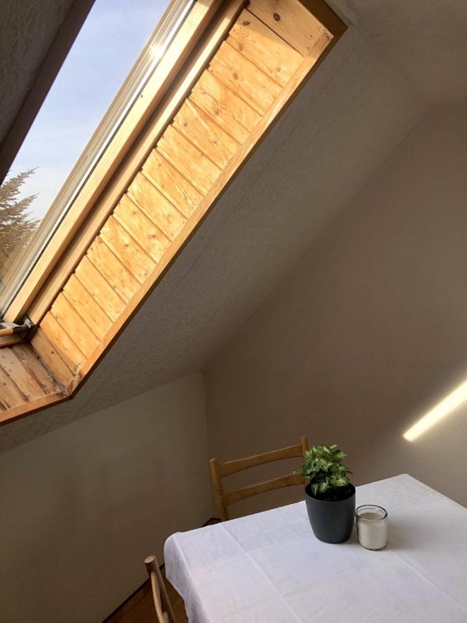 Gasthaus Am Schloss Karlsburg Eksteriør bilde